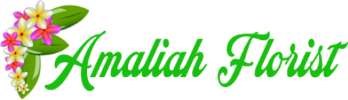 Toko Bunga Sumatera Barat Amaliah Florist 